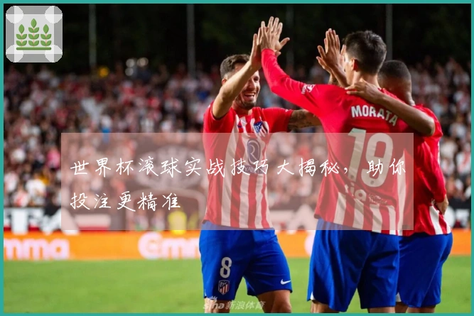 世界杯滚球实战技巧大揭秘，助你投注更精准