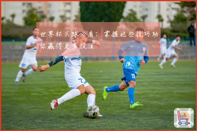 世界杯买球必看：掌握这些技巧助你赢得更多投注