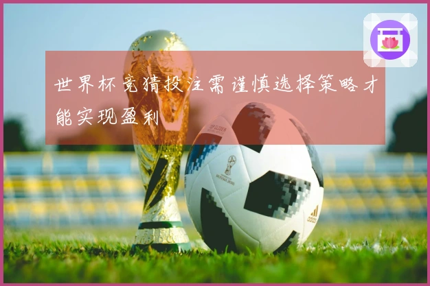 世界杯竞猜投注需谨慎选择策略才能实现盈利