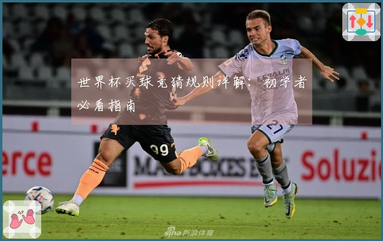 世界杯买球竞猜规则详解：初学者必看指南