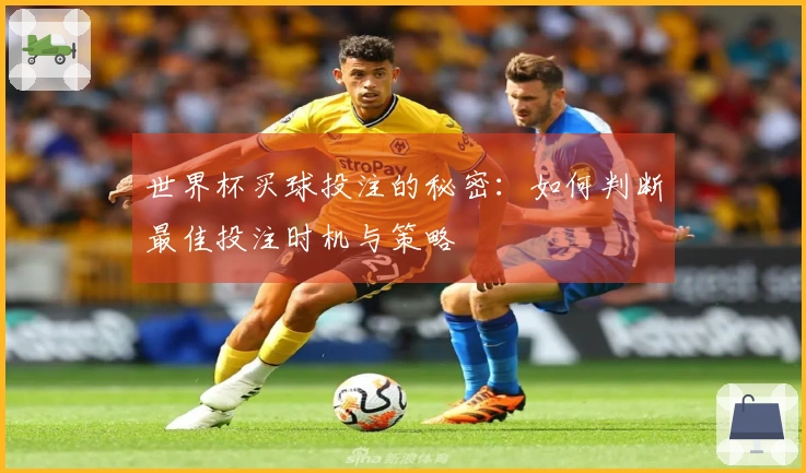 世界杯买球投注的秘密：如何判断最佳投注时机与策略