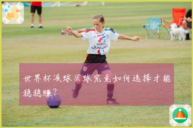 世界杯滚球买球究竟如何选择才能稳稳赚？