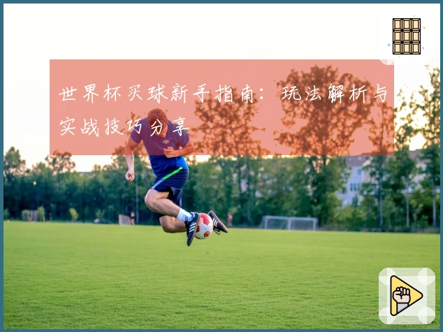 世界杯买球新手指南：玩法解析与实战技巧分享