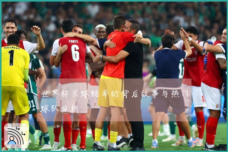 世界杯买球赔率的背后故事与热门球队分析