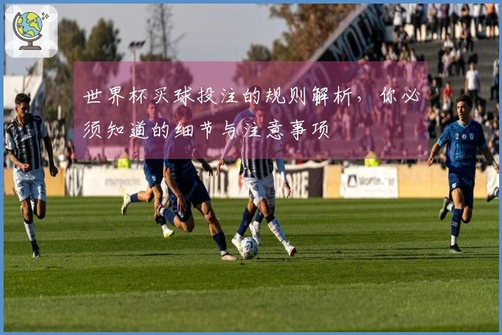 世界杯买球投注的规则解析，你必须知道的细节与注意事项