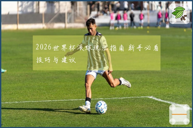 2026世界杯滚球玩法指南 新手必看技巧与建议