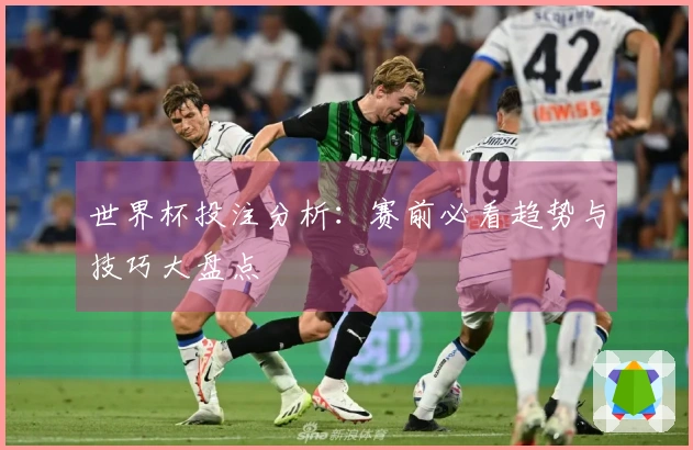 世界杯投注分析：赛前必看趋势与技巧大盘点