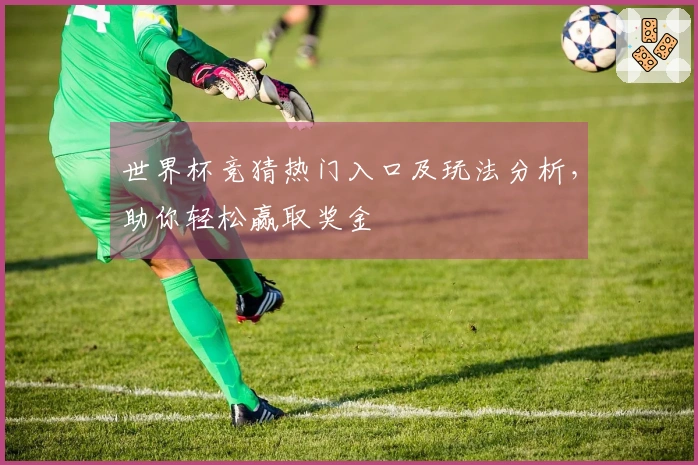世界杯竞猜热门入口及玩法分析，助你轻松赢取奖金