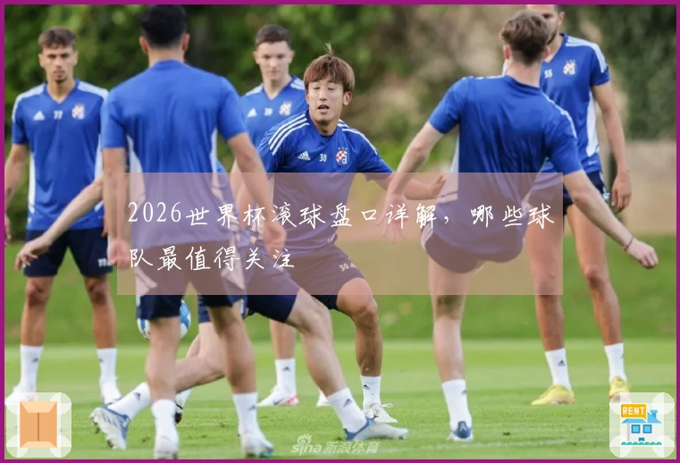 2026世界杯滚球盘口详解,哪些球队最值得关注