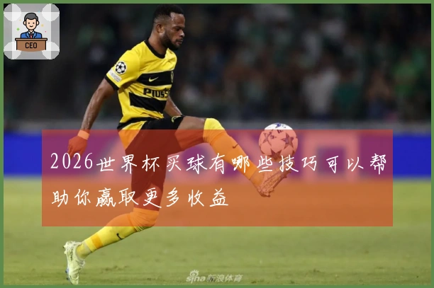 2026世界杯买球有哪些技巧可以帮助你赢取更多收益