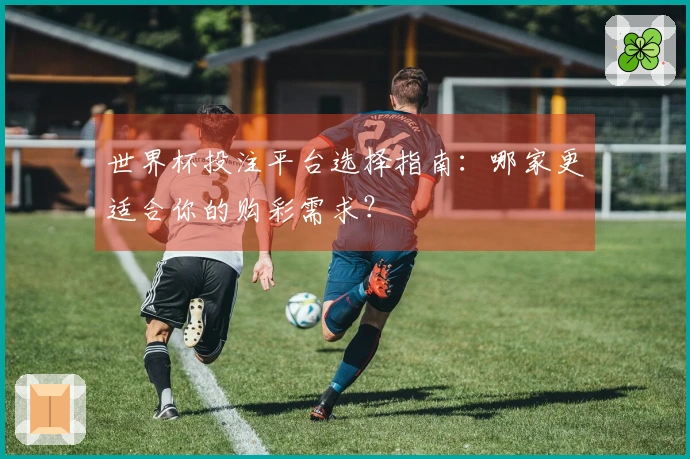 世界杯投注平台选择指南：哪家更适合你的购彩需求？