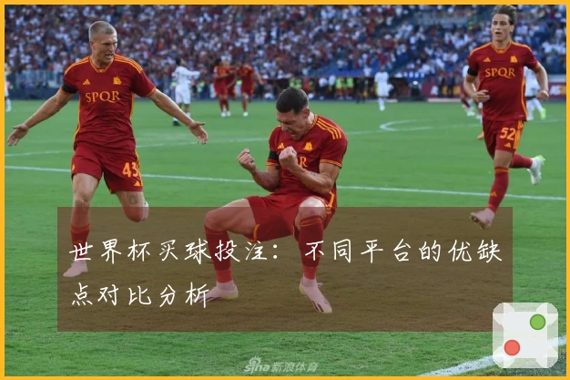 世界杯买球投注：不同平台的优缺点对比分析