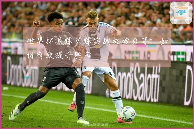世界杯滚球买球实战经验分享：如何有效提升胜率