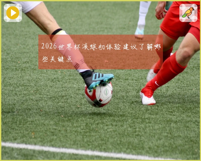 2026世界杯滚球初体验建议了解哪些关键点