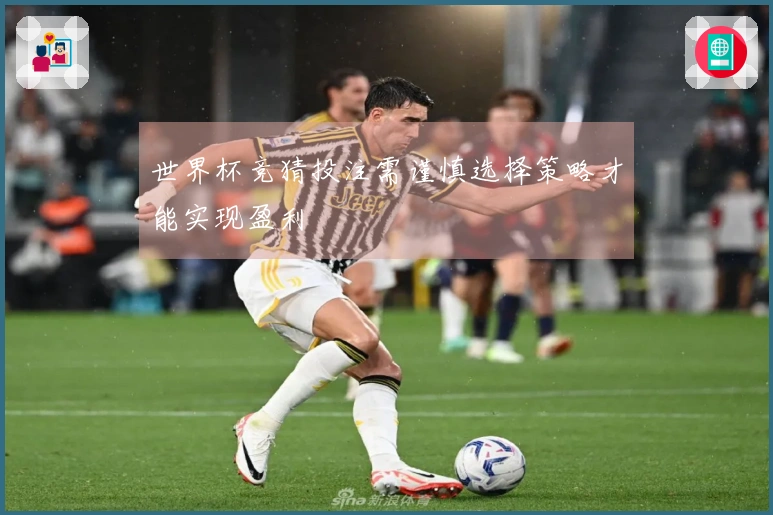 世界杯竞猜投注需谨慎选择策略才能实现盈利