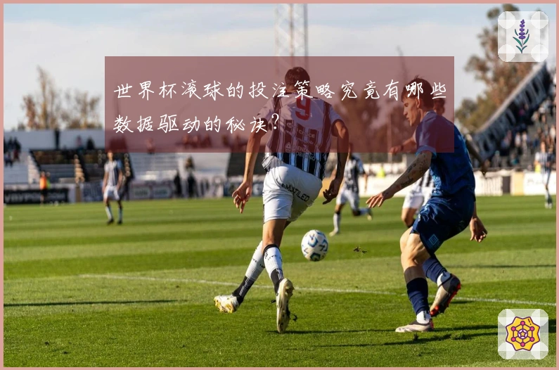 世界杯滚球的投注策略究竟有哪些数据驱动的秘诀？