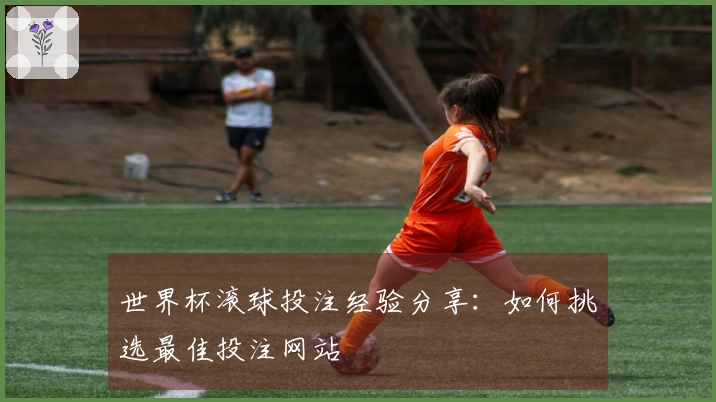 世界杯滚球投注经验分享：如何挑选最佳投注网站